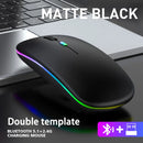 Mouse sem fio recarregável (2,4 GHz e Bluetooth), ergonômico e silencioso, com iluminação e 1600 DPI, para PCs e notebooks.