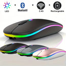 Mouse sem fio recarregável (2,4 GHz e Bluetooth), ergonômico e silencioso, com iluminação e 1600 DPI, para PCs e notebooks.