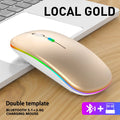Mouse sem fio recarregável (2,4 GHz e Bluetooth), ergonômico e silencioso, com iluminação e 1600 DPI, para PCs e notebooks.