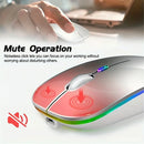 Mouse sem fio recarregável (2,4 GHz e Bluetooth), ergonômico e silencioso, com iluminação e 1600 DPI, para PCs e notebooks.